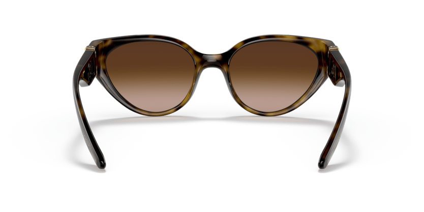 0DG6146 - Dolce & Gabbana - (Havana) Gradient Brown - 54 - 19 - 135 MM - Ardor Eyewear 8056597372077