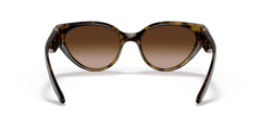 0DG6146 - Dolce & Gabbana - (Havana) Gradient Brown - 54 - 19 - 135 MM - Ardor Eyewear 8056597372077