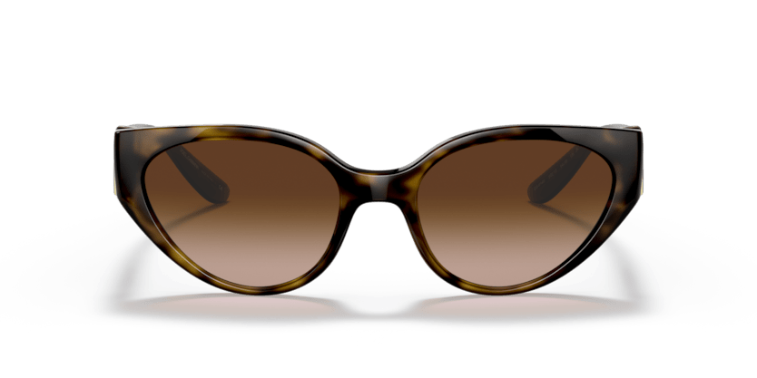 0DG6146 - Dolce & Gabbana - (Havana) Gradient Brown - 54 - 19 - 135 MM - Ardor Eyewear 8056597372077