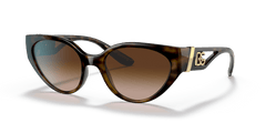 0DG6146 - Dolce & Gabbana - (Havana) Gradient Brown - 54 - 19 - 135 MM - Ardor Eyewear 8056597372077