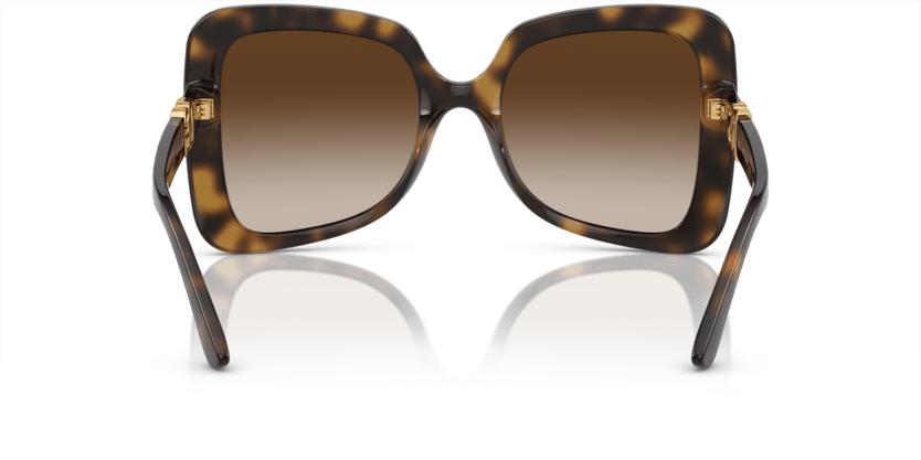 0DG6193U - Dolce & Gabbana - (Havana) Gradient Brown - 56 - 21 - 145 MM - Ardor Eyewear 8056597948647