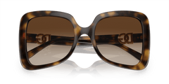 0DG6193U - Dolce & Gabbana - (Havana) Gradient Brown - 56 - 21 - 145 MM - Ardor Eyewear 8056597948647