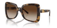 0DG6193U - Dolce & Gabbana - (Havana) Gradient Brown - 56 - 21 - 145 MM - Ardor Eyewear 8056597948647