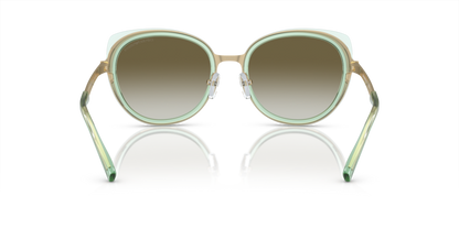 Shiny Pale Gold - 0EA2146 8056597944328