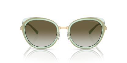 Shiny Pale Gold - 0EA2146 8056597944328