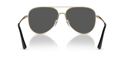 Matte Pale Gold - 0EA2149D 8056597968089