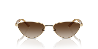 Shiny Pale Gold - 0EA2153 8056262039120