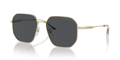 0EA2154D - Emporio Armani - (Shiny Pale Gold) Dark Grey - 57 - 17 - 145 MM - Ardor Eyewear 8056262078907