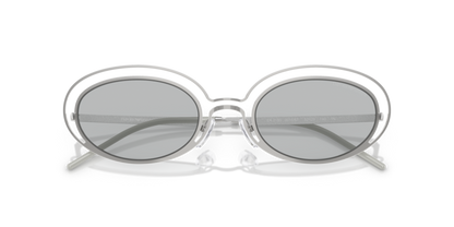 Shiny Silver - 0EA2160 8056262303597