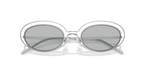 Shiny Silver - 0EA2160 8056262303597
