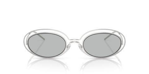 Shiny Silver - 0EA2160 8056262303597