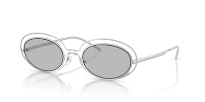 Shiny Silver - 0EA2160 8056262303597