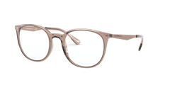 0EA3168 - Emporio Armani - Brown - (Shiny Transparent Tundra 5850) - 52 - 20 - 145 MM - Ardor Eyewear 8056597211666