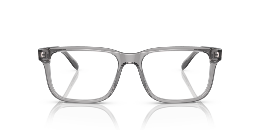 Shiny Transparent Grey - 0EA3218 8056262082287