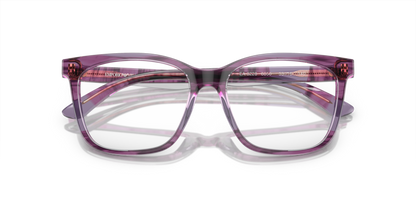 Shiny Violet/Top Smoke - 0EA3228 8056597946841