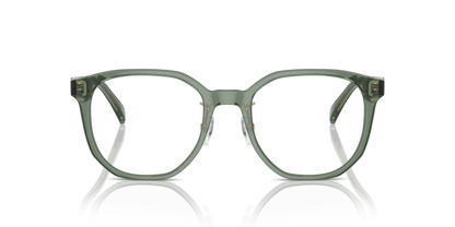 Shiny Transparent Green - 0EA3241D 8056262076965