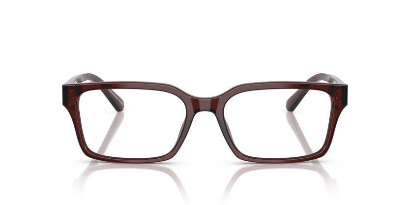 Transparent Brown - 0EA3244 8056262233900