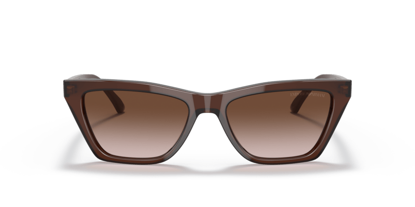 0EA4169 - Emporio Armani - (Transparent Brown) Gradient Brown - 54 - 17 - 140 MM - Ardor Eyewear 8056597528443