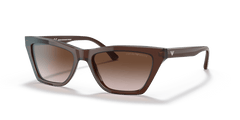 0EA4169 - Emporio Armani - (Transparent Brown) Gradient Brown - 54 - 17 - 140 MM - Ardor Eyewear 8056597528443