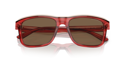 Shiny Bordeaux/Top Smoke - 0EA4208 8056597948142