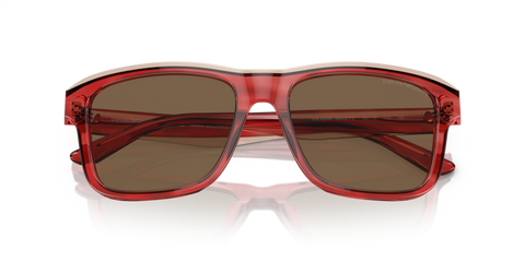 Shiny Bordeaux/Top Smoke - 0EA4208 8056597948142