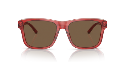 Shiny Bordeaux/Top Smoke - 0EA4208 8056597948142