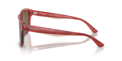 Shiny Bordeaux/Top Smoke - 0EA4208 8056597948142