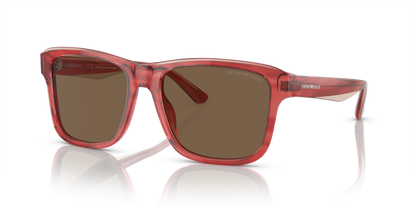 Shiny Bordeaux/Top Smoke - 0EA4208 8056597948142