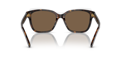 Shiny Havana/Top Crystal - 0EA4209 8056597948180