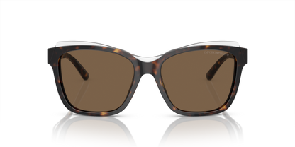 Shiny Havana/Top Crystal - 0EA4209 8056597948180