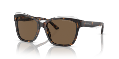 Shiny Havana/Top Crystal - 0EA4209 8056597948180