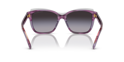 Shiny Violet/Top Smoke - 0EA4209 8056597948197