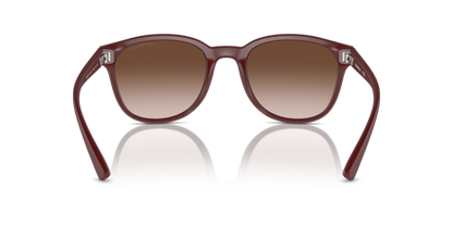 Matte Bordeaux - 0EA4225U 8056262078518