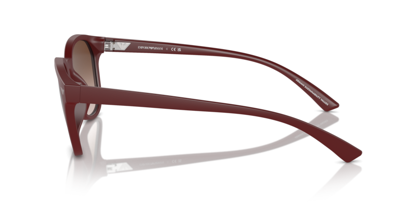 Matte Bordeaux - 0EA4225U 8056262078518