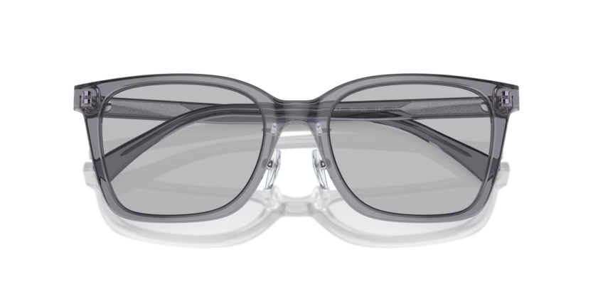 Shiny Transparent Grey - 0EA4226D 8056262076996