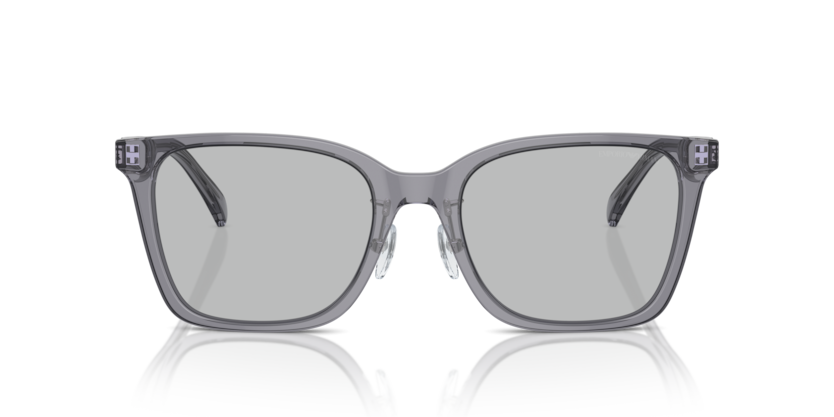 Shiny Transparent Grey - 0EA4226D 8056262076996