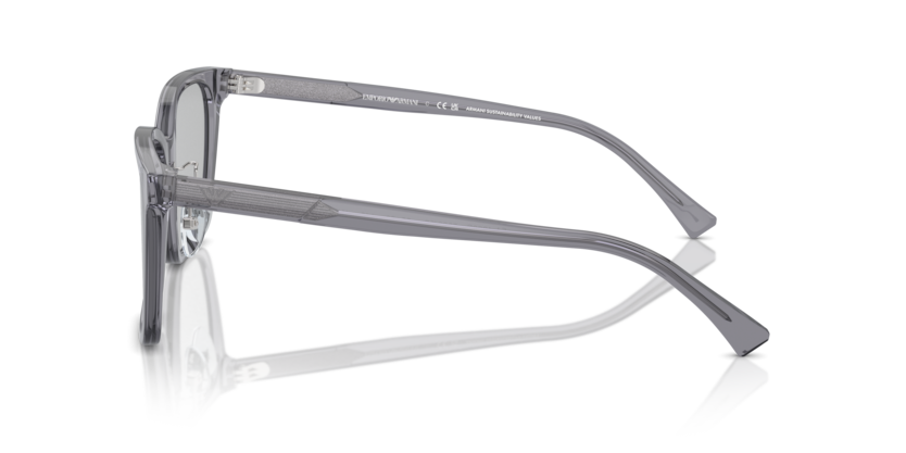 Shiny Transparent Grey - 0EA4226D 8056262076996