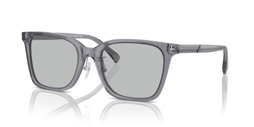 Shiny Transparent Grey - 0EA4226D 8056262076996