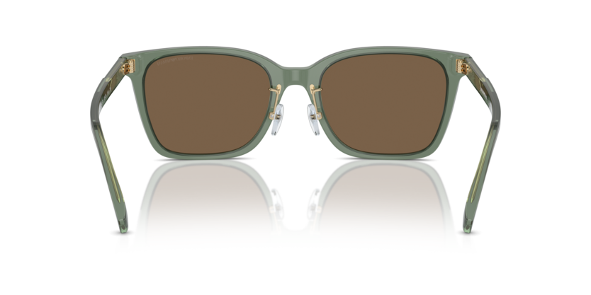 Shiny Transparent Green - 0EA4226D 8056262077009