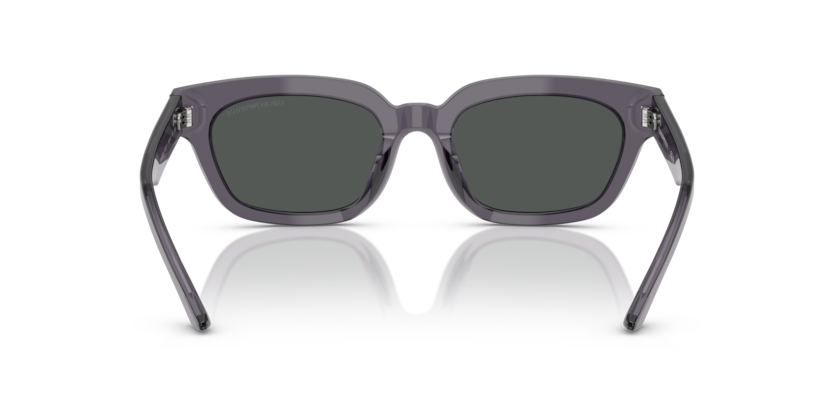 Transparent Grey - 0EA4233U 8056262234174