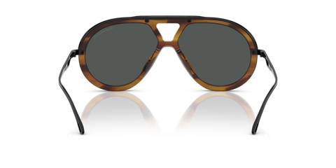 Shiny Striped Brown - 0EA4242U 8056262302309