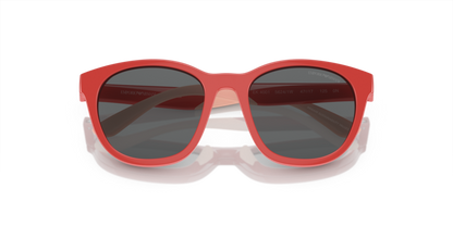 Shiny Coral - 0EK4001 8056597965606