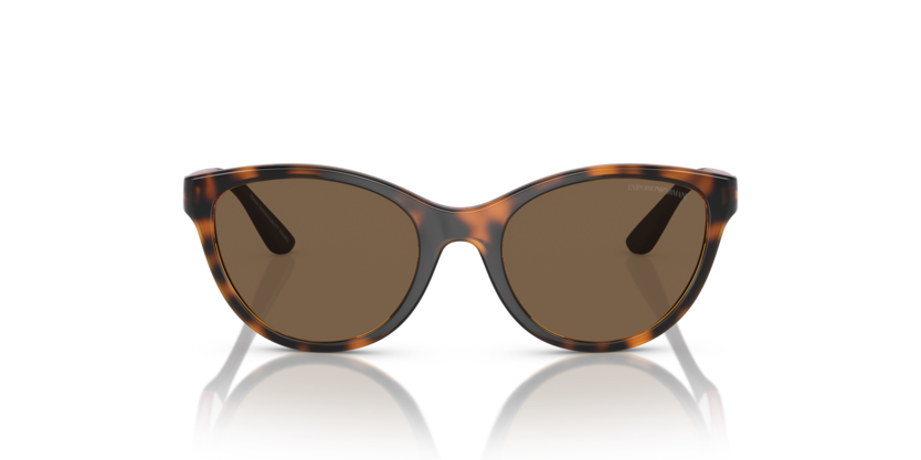 Shiny Havana - 0EK4003 8056597844093
