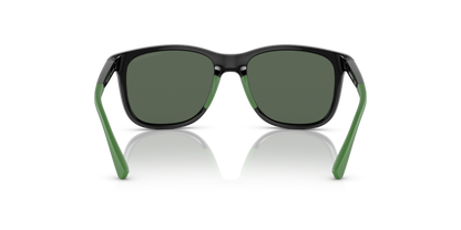 Shiny Black - 0EK4184 8056597981989