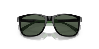 Shiny Black - 0EK4184 8056597981989