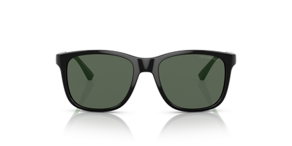 Shiny Black - 0EK4184 8056597981989