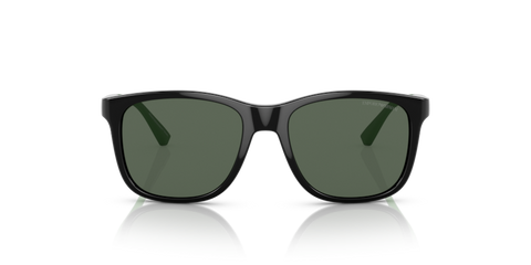 Shiny Black - 0EK4184 8056597981989