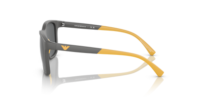 Matte Grey - 0EK4184 8056597982009