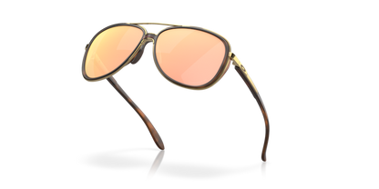 Brown Tortoise - 0OO4129 888392425607