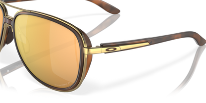 Brown Tortoise - 0OO4129 888392425607